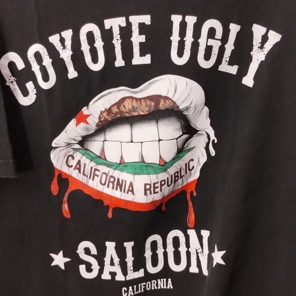 Coyote ugly California Republic saloon. - Picture 4 of 4